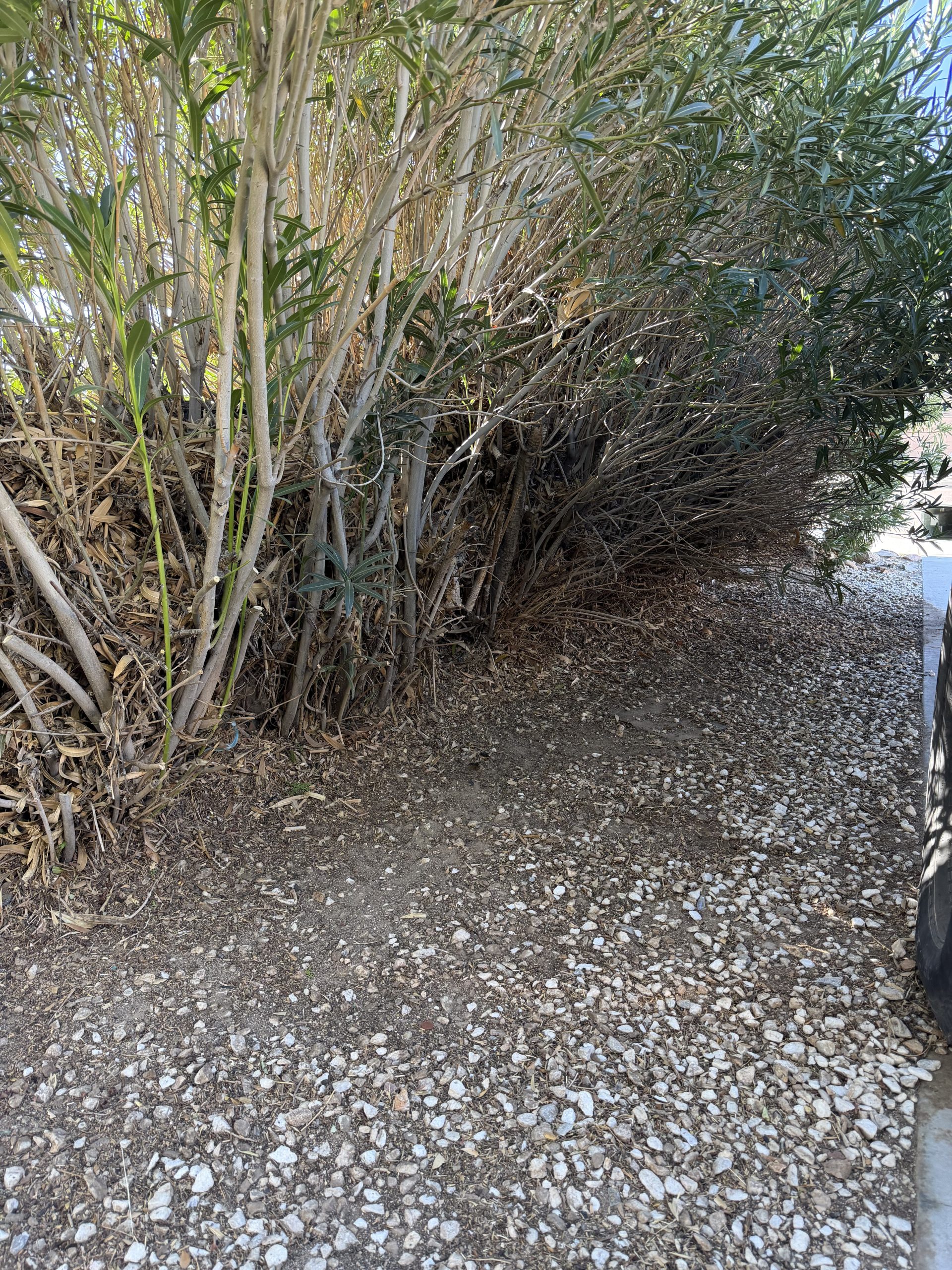 0173815F-9530-4ABD-8964-37EE899D894D