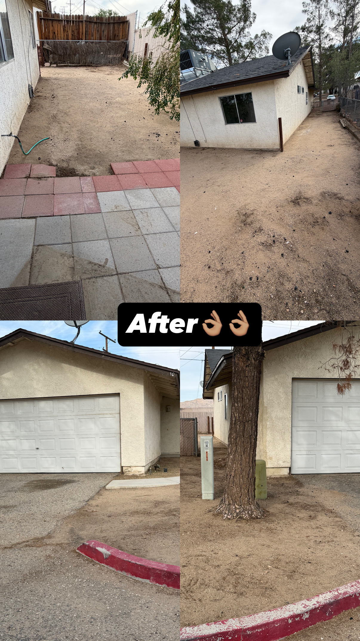 18445C45-F963-48E6-9443-F778199932A3