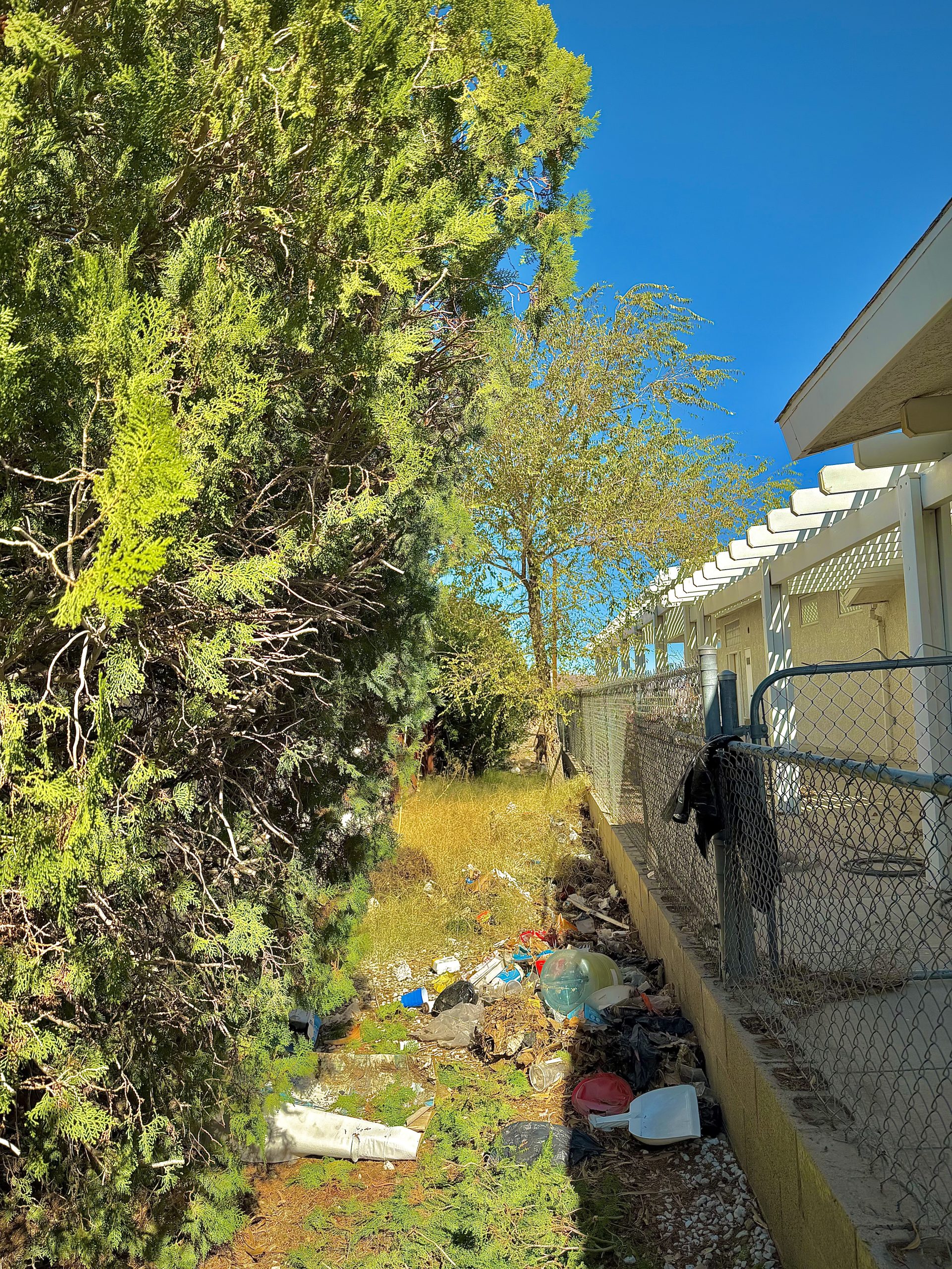 FD507ACE-98EF-44D7-BF96-B1D457375168